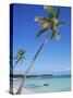 Punta Cana, Dominican Republic, West Indies, Central America-J Lightfoot-Stretched Canvas