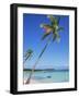 Punta Cana, Dominican Republic, West Indies, Central America-J Lightfoot-Framed Photographic Print