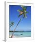 Punta Cana, Dominican Republic, West Indies, Central America-J Lightfoot-Framed Photographic Print