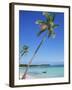 Punta Cana, Dominican Republic, West Indies, Central America-J Lightfoot-Framed Photographic Print