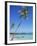 Punta Cana, Dominican Republic, West Indies, Central America-J Lightfoot-Framed Photographic Print