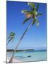 Punta Cana, Dominican Republic, West Indies, Central America-J Lightfoot-Mounted Photographic Print
