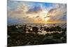 Punta Mita Sunset Blue, 2015-null-Mounted Photographic Print