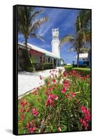 Punta Sur Lighthouse, Isla Mujeres,Mexico-George Oze-Framed Stretched Canvas