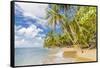 Punta Uva beach in Puerto Viejo, Limon, Costa Rica-Chris Mouyiaris-Framed Stretched Canvas