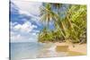 Punta Uva beach in Puerto Viejo, Limon, Costa Rica-Chris Mouyiaris-Stretched Canvas