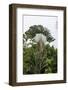 Puntarenas, Costa Rica-Peter Hawkins-Framed Photographic Print