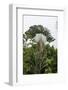 Puntarenas, Costa Rica-Peter Hawkins-Framed Photographic Print