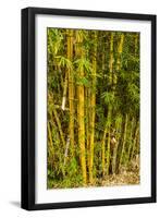 Puntarenas, Costa Rica-Peter Hawkins-Framed Photographic Print