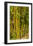 Puntarenas, Costa Rica-Peter Hawkins-Framed Photographic Print