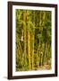 Puntarenas, Costa Rica-Peter Hawkins-Framed Photographic Print