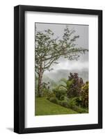 Puntarenas, Costa Rica-Peter Hawkins-Framed Photographic Print