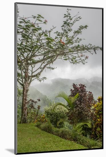 Puntarenas, Costa Rica-Peter Hawkins-Mounted Photographic Print