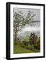 Puntarenas, Costa Rica-Peter Hawkins-Framed Photographic Print