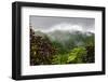 Puntarenas, Costa Rica-Peter Hawkins-Framed Photographic Print