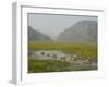 Punting Boats on Delta River, Limestone Mountain Scenery, Van Long, South of Hanoi-Christian Kober-Framed Premium Photographic Print