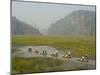 Punting Boats on Delta River, Limestone Mountain Scenery, Van Long, South of Hanoi-Christian Kober-Mounted Premium Photographic Print