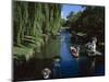 Punting on River Avon, Christchurch, Canterbury, South Island, New Zealand-G Richardson-Mounted Photographic Print