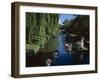 Punting on River Avon, Christchurch, Canterbury, South Island, New Zealand-G Richardson-Framed Photographic Print