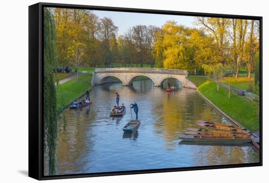 Punting on the Backs, River Cam, Cambridge, Cambridgeshire, England, United Kingdom, Europe-Alan Copson-Framed Stretched Canvas