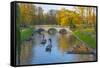 Punting on the Backs, River Cam, Cambridge, Cambridgeshire, England, United Kingdom, Europe-Alan Copson-Framed Stretched Canvas