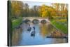 Punting on the Backs, River Cam, Cambridge, Cambridgeshire, England, United Kingdom, Europe-Alan Copson-Stretched Canvas