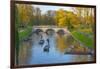 Punting on the Backs, River Cam, Cambridge, Cambridgeshire, England, United Kingdom, Europe-Alan Copson-Framed Photographic Print