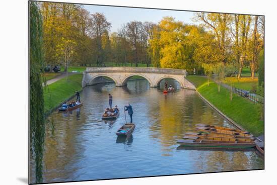 Punting on the Backs, River Cam, Cambridge, Cambridgeshire, England, United Kingdom, Europe-Alan Copson-Mounted Photographic Print