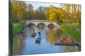Punting on the Backs, River Cam, Cambridge, Cambridgeshire, England, United Kingdom, Europe-Alan Copson-Mounted Photographic Print