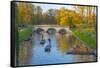 Punting on the Backs, River Cam, Cambridge, Cambridgeshire, England, United Kingdom, Europe-Alan Copson-Framed Stretched Canvas