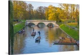 Punting on the Backs, River Cam, Cambridge, Cambridgeshire, England, United Kingdom, Europe-Alan Copson-Stretched Canvas