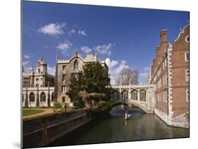 Punting under the Bridge of Sighs, River Cam at St. John's College, Cambridge, England-Nigel Blythe-Mounted Photographic Print