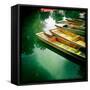 Punting-Craig Roberts-Framed Stretched Canvas