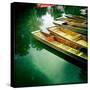 Punting-Craig Roberts-Stretched Canvas