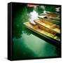 Punting-Craig Roberts-Framed Stretched Canvas