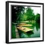 Punts Moored by River Bank, Cambridge, Cambridgeshire, Uk-Craig Roberts-Framed Photographic Print