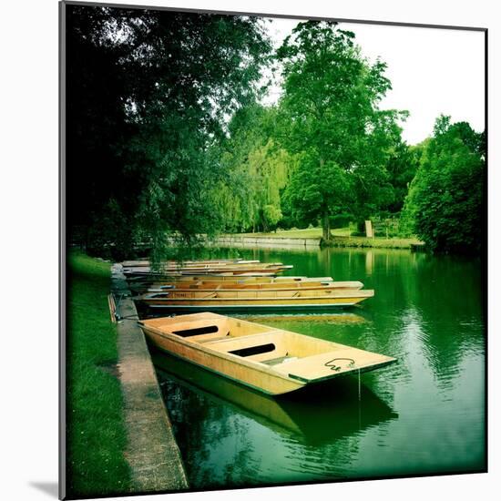 Punts Moored by River Bank, Cambridge, Cambridgeshire, Uk-Craig Roberts-Mounted Photographic Print