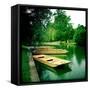 Punts Moored by River Bank, Cambridge, Cambridgeshire, Uk-Craig Roberts-Framed Stretched Canvas