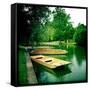 Punts Moored by River Bank, Cambridge, Cambridgeshire, Uk-Craig Roberts-Framed Stretched Canvas