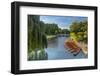 Punts on the Backs, River Cam, Cambridge, Cambridgeshire, England, United Kingdom, Europe-Alan Copson-Framed Photographic Print