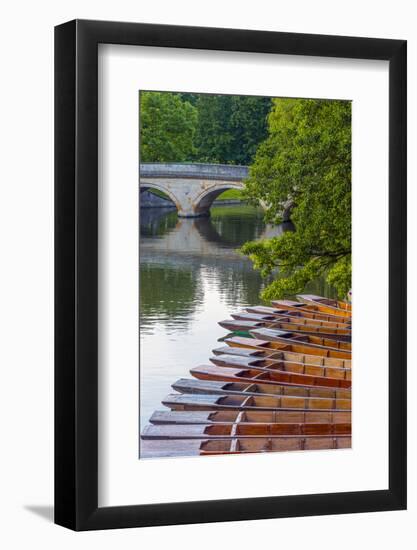 Punts on the River Cam, the Backs, Cambridge, Cambridgeshire, England, United Kingdom, Europe-Alan Copson-Framed Photographic Print