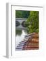 Punts on the River Cam, the Backs, Cambridge, Cambridgeshire, England, United Kingdom, Europe-Alan Copson-Framed Photographic Print