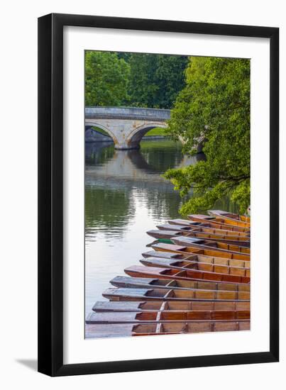 Punts on the River Cam, the Backs, Cambridge, Cambridgeshire, England, United Kingdom, Europe-Alan Copson-Framed Photographic Print