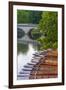 Punts on the River Cam, the Backs, Cambridge, Cambridgeshire, England, United Kingdom, Europe-Alan Copson-Framed Photographic Print