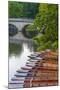 Punts on the River Cam, the Backs, Cambridge, Cambridgeshire, England, United Kingdom, Europe-Alan Copson-Mounted Photographic Print