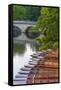 Punts on the River Cam, the Backs, Cambridge, Cambridgeshire, England, United Kingdom, Europe-Alan Copson-Framed Stretched Canvas