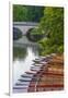 Punts on the River Cam, the Backs, Cambridge, Cambridgeshire, England, United Kingdom, Europe-Alan Copson-Framed Photographic Print