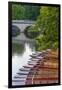 Punts on the River Cam, the Backs, Cambridge, Cambridgeshire, England, United Kingdom, Europe-Alan Copson-Framed Photographic Print