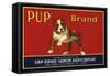 Pup Brand - San Dimas, California - Citrus Crate Label-Lantern Press-Framed Stretched Canvas