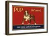 Pup Brand - San Dimas, California - Citrus Crate Label-Lantern Press-Framed Art Print